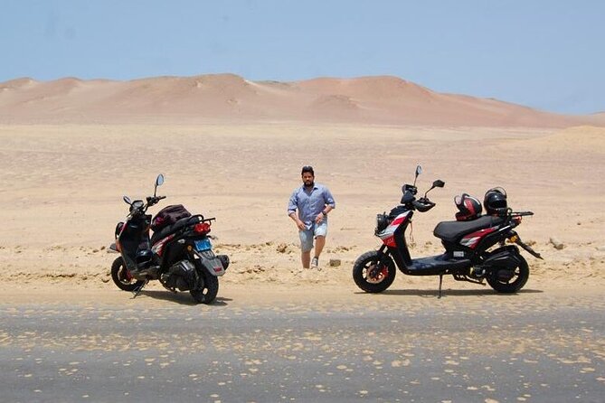 Visit the Paracas National Reserve on a SCOOTER - Key highlights at a glance