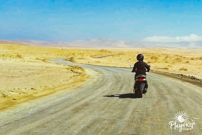 Visit the Paracas National Reserve on a SCOOTER - Practical tips so your scooter day stays fun