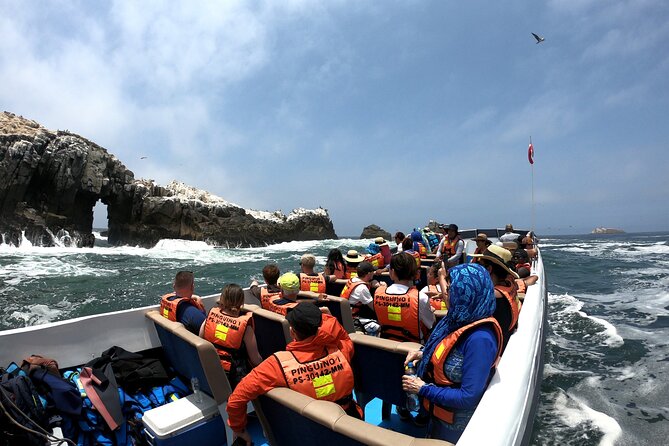 Visit the Sea Lions in Palomino Islands, in Lima Peru - Safety, Comfort, and How the Guides Shape the Swim
