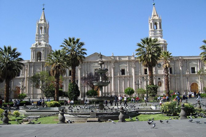 Walking Tour Arequipa Including Santa Catalina Monastery - How the pace feels on the ground: pleasant if you’re prepared