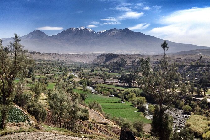 Walking Tour through the Historic Center of Arequipa - Mercado San Camilo: The Oldest Market Stop, Without the Overload