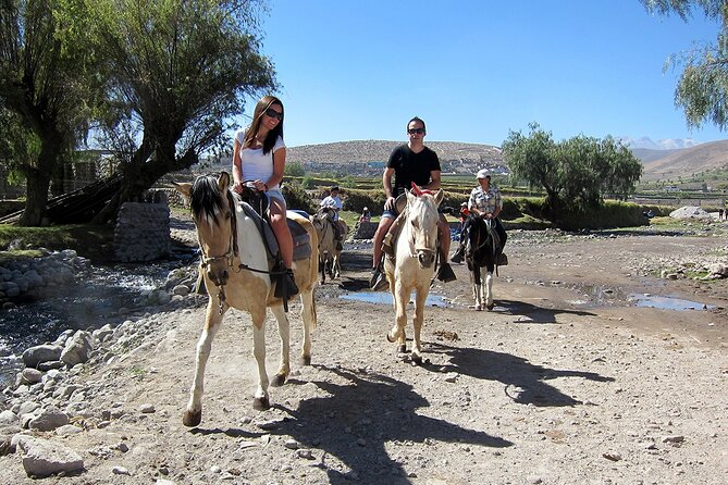 Walking Tour through the Historic Center of Arequipa - Mundo Alpaca Arequipa: Alpaca Fiber, Textile Work, and Local Traditions