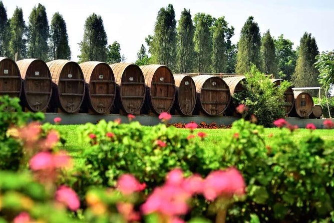 Winery and Pisco Distillery tour - Stop 3: Bodega Nietto, Founded in 1857 by the Gonzalez Misa Family