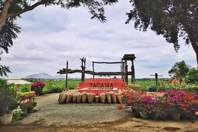 Winery and Pisco Distillery tour - Stop 1: Tacama (Hacienda Tacama) and the Monday Switch to Vista Alegre
